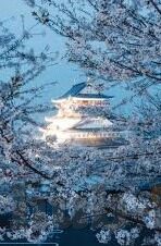 足球 比赛比分-足球赛场，比分背后的风云变幻与情感激荡